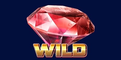 Wild Symbol Wild Symbol