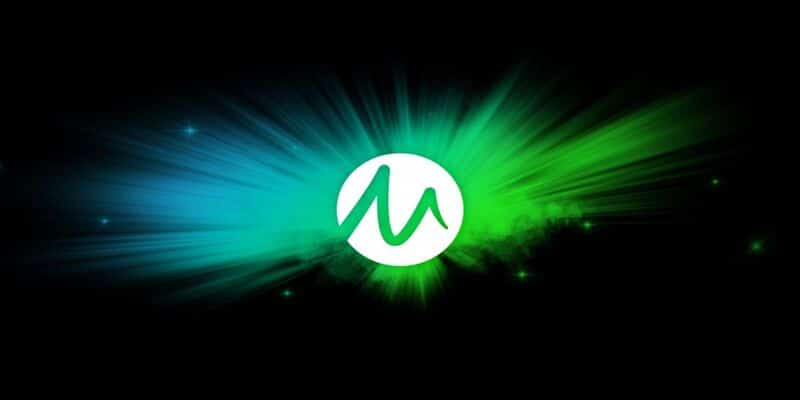 Microgaming bekommt neuen CEO.