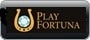 Play Fortuna Bonus