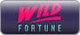 Wild Fortune Casino